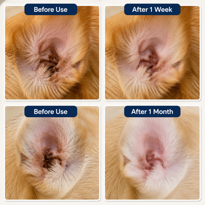 🐶 YREE®Gentle Pet Ear Care Solution for Happier Dogs & Cats